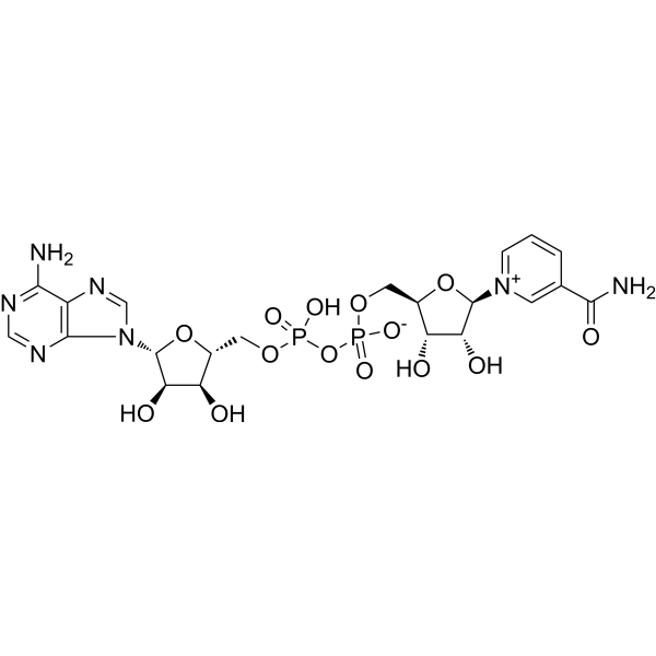 Semaglutide